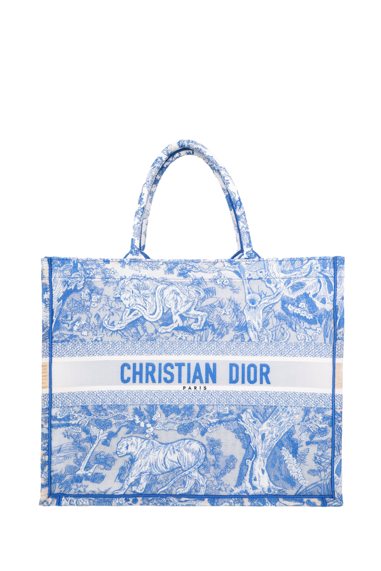 Christian Dior 2022 Blue/White Toile De Jouy Sheer Embroidered Medium Book Tote